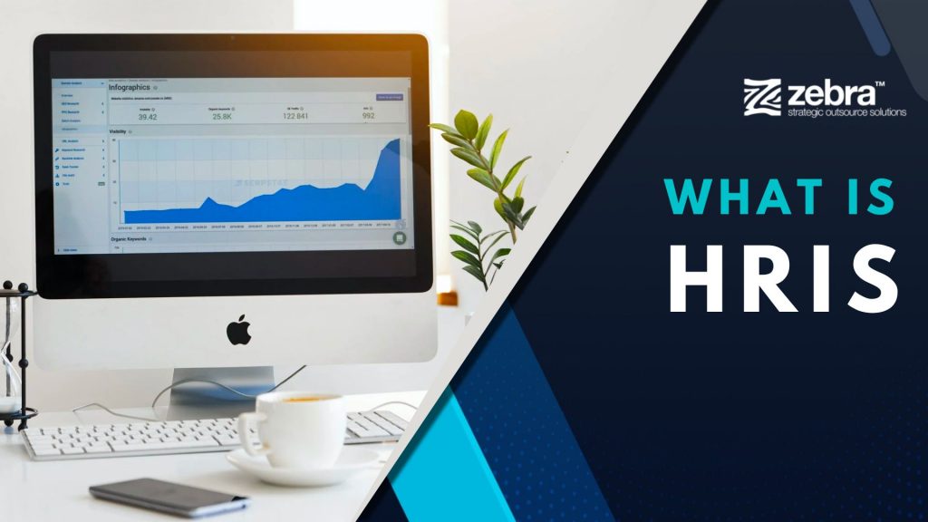 What is HRIS and How Can it Help Improve HR Processes?